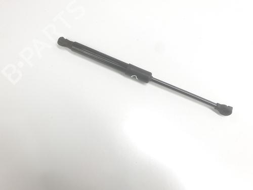 Andre RENAULT AUSTRAL  | BP34245584O1  - Image 5