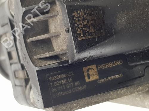 Egr PEUGEOT 2008 I (CU_)  | BP29311797M69 