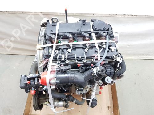Used Engine Engine FORD RANGER (TKE) 2.2 TDCi 4x4 (160 hp) 36185907 36185907
