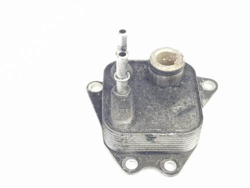 Oliekøler LAND ROVER DISCOVERY III (L319) 2.7 TD 4x4 | BP24597885M33 