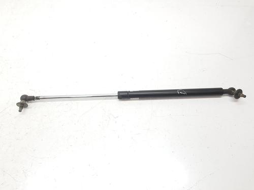 Gasfjeder motorhjelm TOYOTA LAND CRUISER PRADO (_J12_) 3.0 D-4D (KDJ120, KDJ125) (166 hp) 14113399