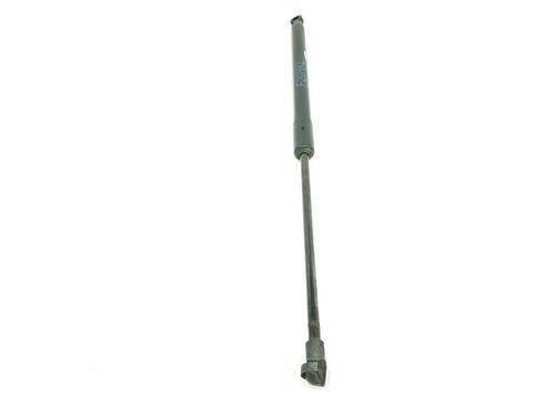 Tailgate lift support BMW 1 (F20) 114 d | BP17960104C138 