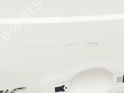 Left rear door RENAULT TRAFIC III Van (FG_)  | BP28488138C4 