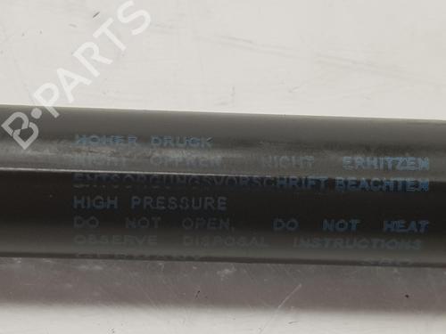 Hood lift support VW TRANSPORTER T6 / CARAVELLE T6 Bus (SGB, SGJ, SHB, SHJ) 2.0 TDI | BP14102718C139 