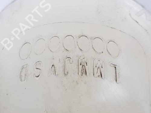 Expansion tank RENAULT TRAFIC III Van (FG_) 1.6 dCi 120 (FGMB, FGMC) | BP16642691C120 