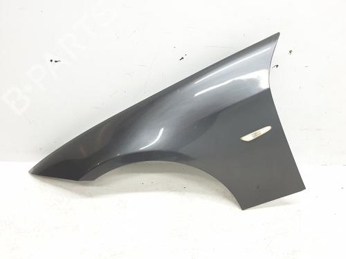 Left front fenders BMW 3 (E90) 320 d 5A55AF3  | 41355A55AF3  | COLOR SPARKLING GRAPHITE METALLIC A22   |