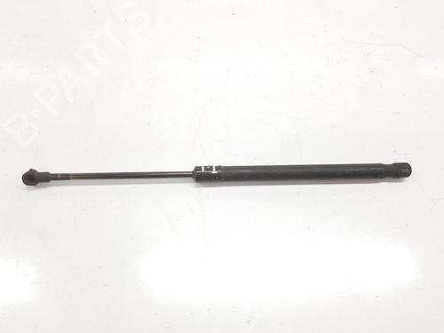 Tailgate lift support BMW 1 (E87) 118 d | BP14526154C138 