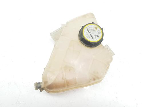 Used Expansion tank FORD FIESTA VI (CB1, CCN) 1.25 (60 hp) 10068960