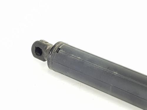 Tailgate lift support BMW X5 (E70) 3.0 d | BP35753665C138  - Image 10