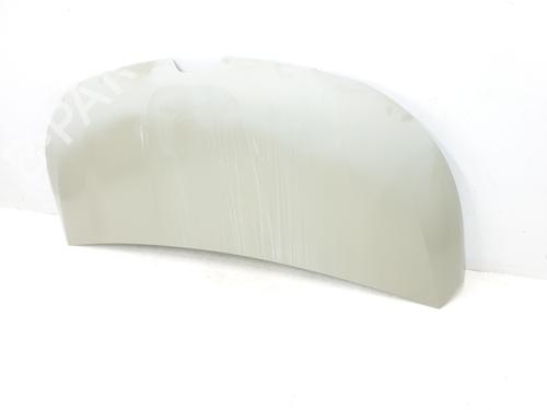 Hood RENAULT TRAFIC III Van (FG_) 1.6 dCi 140 (FGMA, FGMC) | BP29954938C1