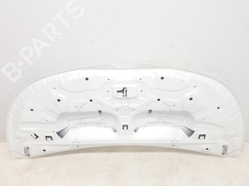 Hood RENAULT TRAFIC III Van (FG_) 1.6 dCi 140 (FGMA, FGMC) | BP30262885C1 