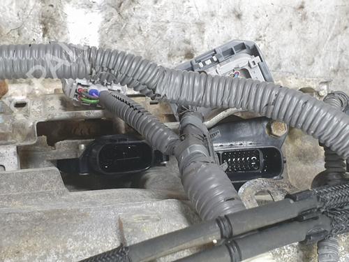 Gearbox TOYOTA LAND CRUISER PRADO (_J15_)  | BP29399255M3 
