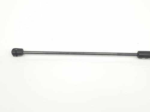 Tailgate lift support LAND ROVER RANGE ROVER EVOQUE (L538) 2.2 D | BP17169066C138 