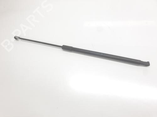 other-dacia-duster-pym_-pyn_-2023-34354025 main image