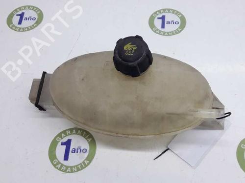 Used Expansion tank RENAULT TRAFIC II Bus (JL) 2.0 dCi 115 (JL00, JL01, JL0H, JL0M, JL0U) (114 hp) 5217692