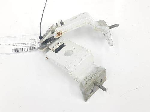 Hinge/Door check strap OPEL MOVANO B Van (X62) 2.3 CDTI FWD (FV) | BP14113486C146 