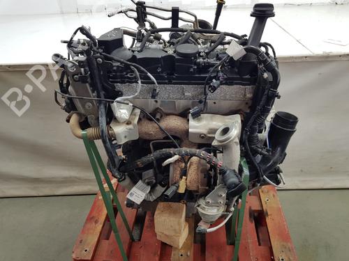 Motor VW TRANSPORTER T6 Van (SGA, SGH, SHA, SHH)  | BP30307775M1 