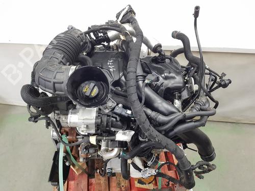 Engine FORD TRANSIT V363 Platform/Chassis (FED, FFD) 2.0 EcoBlue | BP31840493M1 