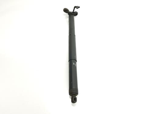 Tailgate lift support BMW X5 (F15, F85) xDrive 25 d | BP29716385C138 