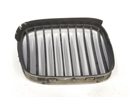 Grille BMW 5 (E39) 523 i | BP13361668C40 
