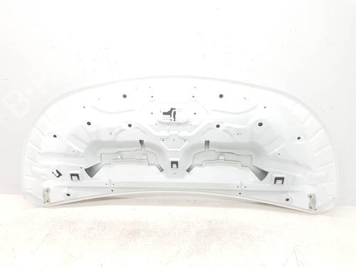 Hood RENAULT TRAFIC III Van (FG_) 1.6 dCi 140 (FGMA, FGMC) | BP30000347C1