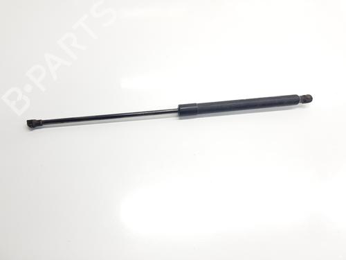 tailgate-lift-support-renault-arkana-i-lcm_-ldn_-2019-33694662 main image