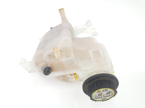 Used Expansion tank LAND ROVER DISCOVERY III (L319) 2.7 TD 4x4 (190 hp) 10084259