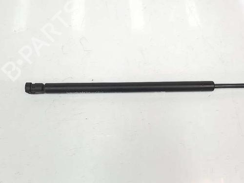 Pansergassdemper VW TOUAREG (7LA, 7L6, 7L7) 3.2 V6 | BP14085216C139 