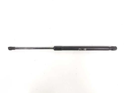 Used Hood lift support VW CADDY III MPV (2KB, 2KJ, 2CB, 2CJ) 1.9 TDI (105 hp) 14086836