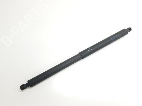 Tailgate lift support BMW X1 (F48) sDrive 18 d | BP29313332C138 