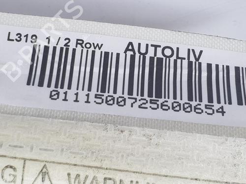 Right curtain airbag LAND ROVER DISCOVERY III (L319) 2.7 TD 4x4 | BP11698960C12 