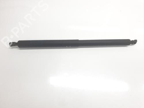 Used Tailgate lift support BMW X1 (F48) sDrive 18 d (150 hp) 22334673