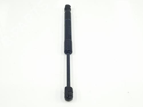 Hood lift support BMW 1 (F20) 118 i | BP20492097C139