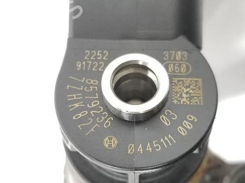 Injector BMW X2 (F39) xDrive 20 d | BP10503319M100 
