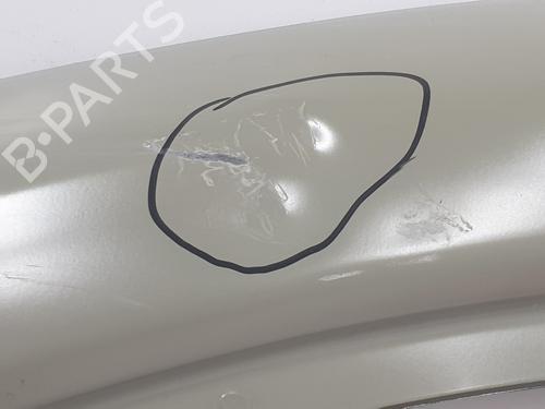 Left front door RENAULT TRAFIC III Van (FG_) 1.6 dCi 140 (FGMA, FGMC) | BP29915228C2 