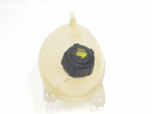 Expansion tank RENAULT CAPTUR I (J5_, H5_) 1.5 dCi 90 (J5N4, J5M5, J5MW, J5M6, J5AL, J5AJ) | BP29953687C120 