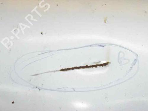 Hood FORD TRANSIT Van (FA_ _) 2.0 DI (FAE_, FAF_, FAG_) | BP1971916C1 