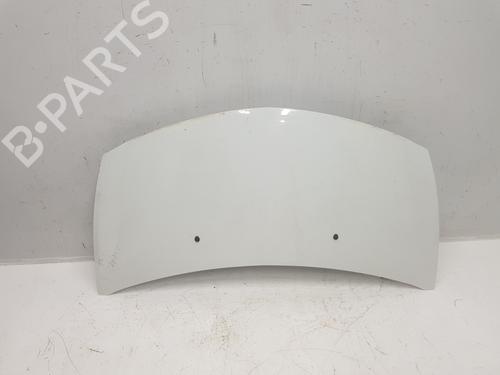 Panser Panser RENAULT CLIO III (BR0/1, CR0/1) 1.5 dCi (BR17, CR17) (86 hp) 36842252 36842252