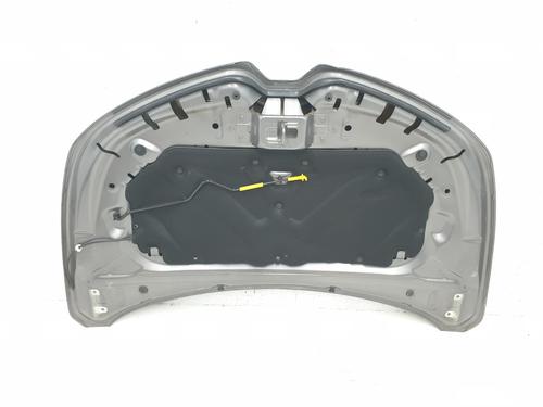 Hood RENAULT CLIO V (B7_)  | BP29723417C1 