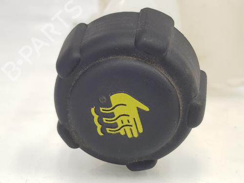 Expansion tank RENAULT CAPTUR II (HF_) E-TECH 145 (HFMU) | BP22315042C120 