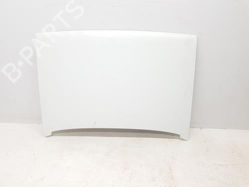 Used Hood RENAULT RAPID Box Body/MPV (F40_, G40_) 1.6 D (F404) (55 hp) 31671173
