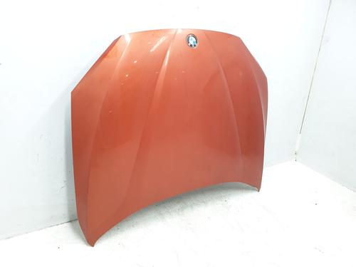 Hood BMW X1 (E84) xDrive 18 d | BP29628786C1