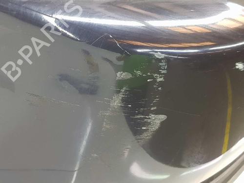 Rear bumper LAND ROVER RANGE ROVER SPORT I (L320) 2.7 D 4x4 | BP6828005C8 