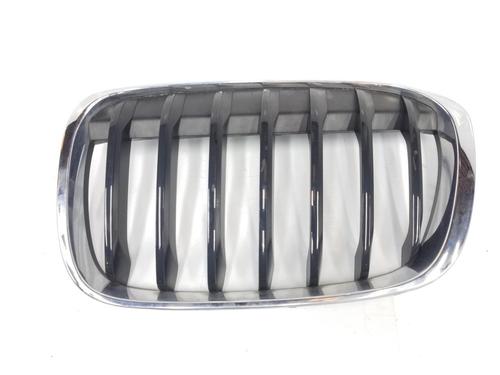 Grille BMW X1 (F48) xDrive 18 d (150 hp) 51137354823 | 51137354823 | 51137354823 |