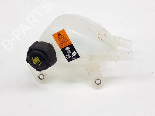 ekpansionstank-renault-rafale-coupe-dgm_-2023-33930579 main image