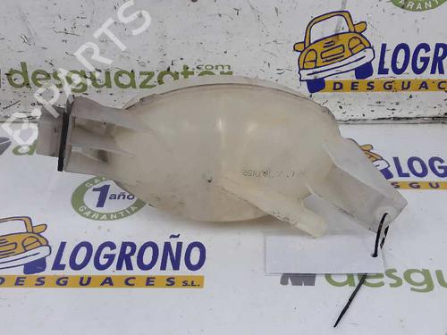 Expansion tank OPEL VIVARO A Van (X83) 2.0 CDTI (F7) | BP4242380C120 