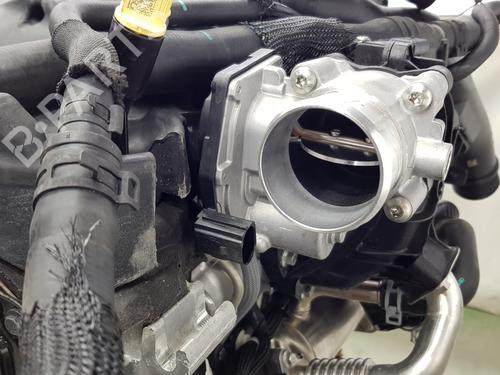 Engine FORD TRANSIT V363 Platform/Chassis (FED, FFD) 2.0 EcoBlue | BP31593823M1