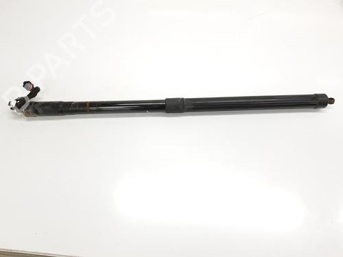Used Tailgate lift support LAND ROVER RANGE ROVER SPORT II (L494) 4.4 SDV8 4x4 (340 hp) 25904029