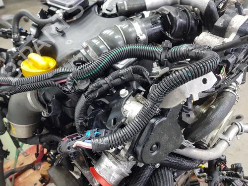 Motor RENAULT EXPRESS Box Body/MPV | BP32330862M1