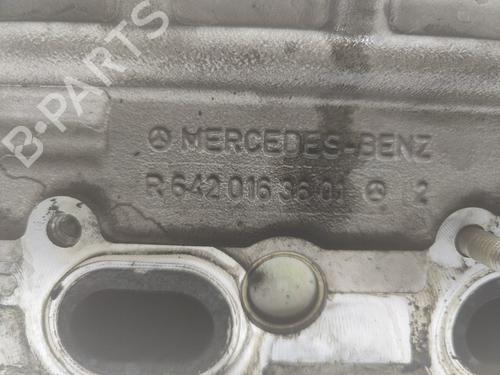 Cylinder head MERCEDES-BENZ M-CLASS (W164) ML 320 CDI 4-matic (164.122) | BP10975695M5 